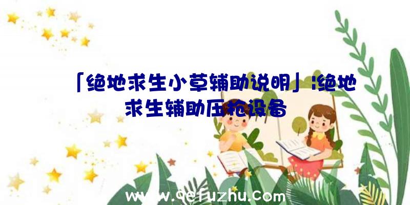 「绝地求生小草辅助说明」|绝地求生辅助压枪设备